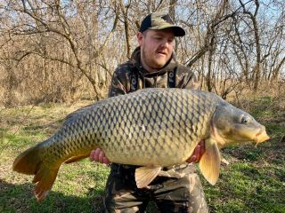 Pavlova krásná šupinka z jarní Dyje 7 a i zde byla kulička #ONLY bezkonkurenční 💪💪💪 Gratulačka 👏👏👏 #carpsonbaits...